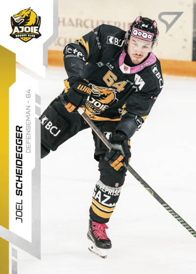 Scheidegger Joel 24-25 National League #356