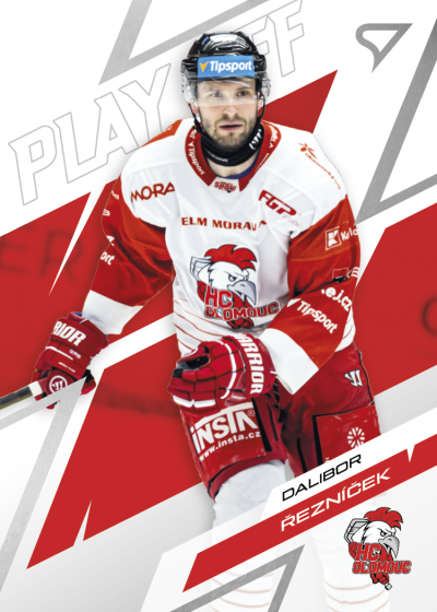 Řezníček Dalibor 25-26 Tipsport Extraliga Play Off Base Set #68