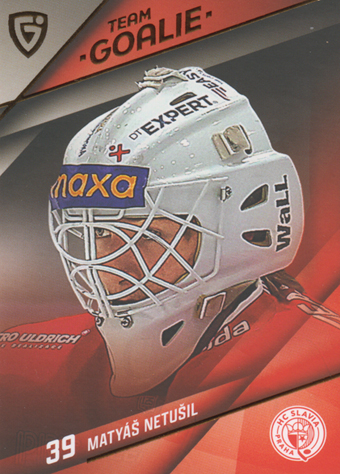 Netušil Matyáš 25-26 GOAL Cards Maxa liga Team Goalie #TG-04