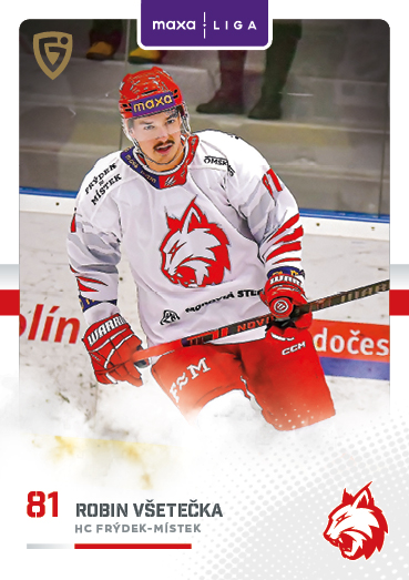 Všetečka Robin 25-26 GOAL Cards Maxa liga #FMI-28