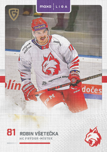Všetečka Robin 25-26 GOAL Cards Maxa liga Canvas #FMI-28