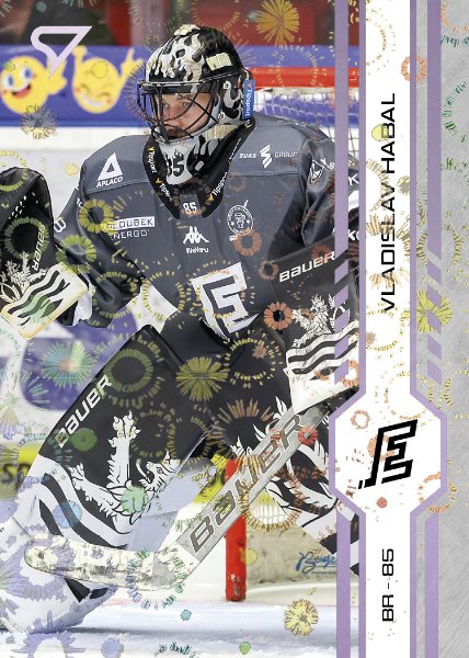 Habal Vladislav 24-25 Tipsport Extraliga Violet #336