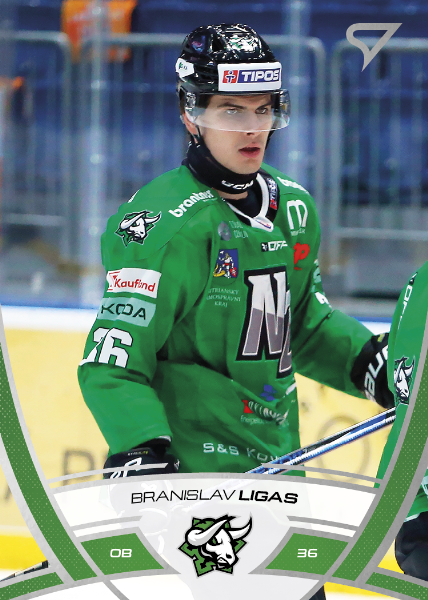 Ligas Branislav 24-25 Tipos Extraliga #306