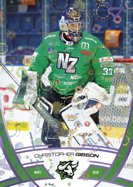 Gibson Christopher 24-25 Tipos Extraliga Purple #303