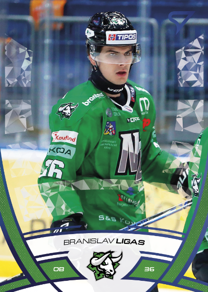 Ligas Branislav 24-25 Tipos Extraliga Blue #306