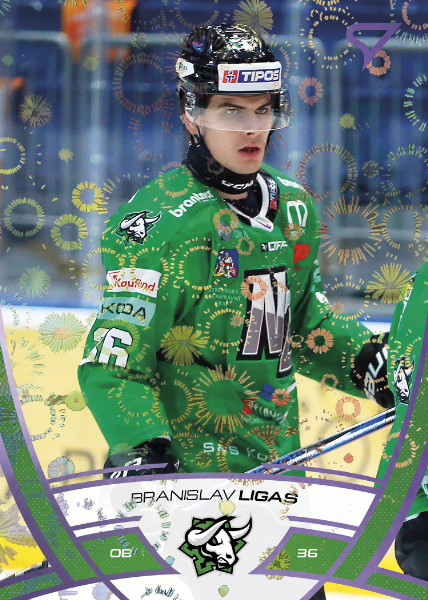 Ligas Branislav 24-25 Tipos Extraliga Purple #306
