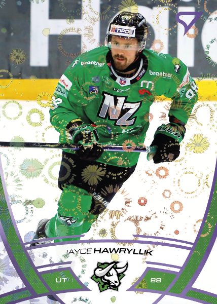 Hawryluk Jayce 24-25 Tipos Extraliga Purple #308