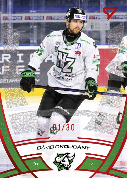 Okoličány Dávid 24-25 Tipos Extraliga Red #310