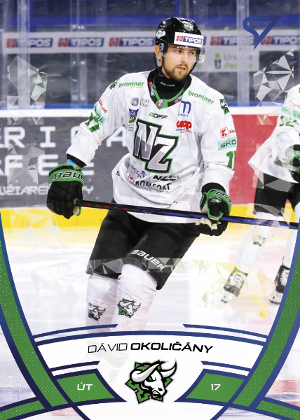 Okoličány Dávid 24-25 Tipos Extraliga Blue #310