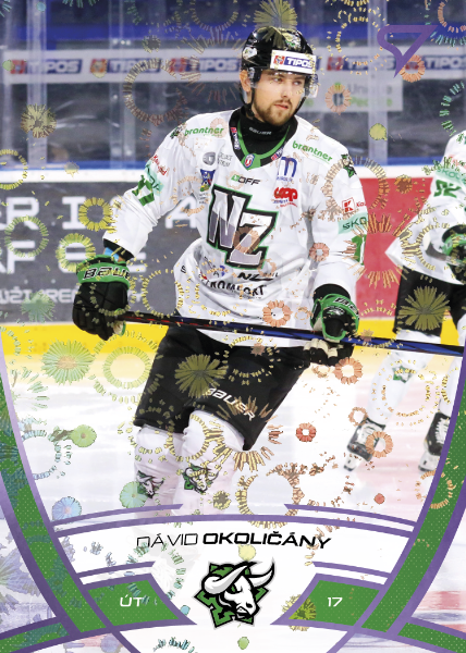 Okoličány Dávid 24-25 Tipos Extraliga Purple #310