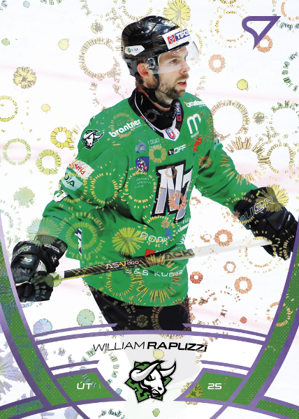 Rapuzzi William 24-25 Tipos Extraliga Purple #311