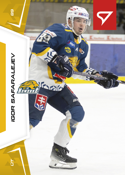 Safaraleyev Igor 24-25 Slovenská hokejová liga #121