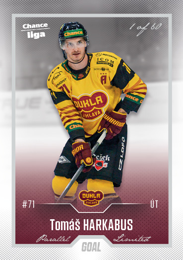 Harkubus Tomáš 22-23 GOAL Cards Chance liga Silver #11