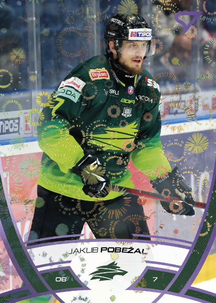 Pobežal Jakub 24-25 Tipos Extraliga Purple #317