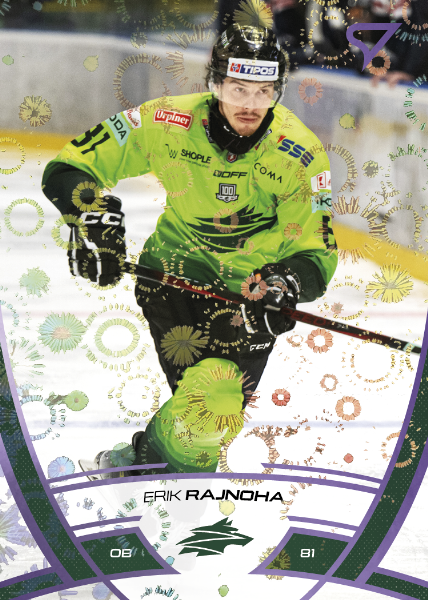 Rajnoha Erik 24-25 Tipos Extraliga Purple #318
