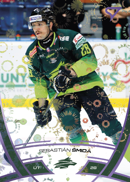 Šmida Sebastián 24-25 Tipos Extraliga Purple #324