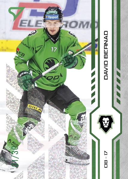 Bernad David 24-25 Tipsport Extraliga Green #350