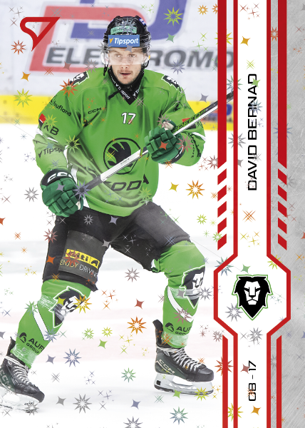 Bernad David 24-25 Tipsport Extraliga Red #350