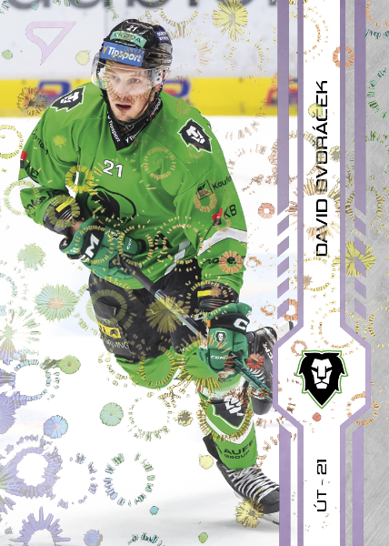 Dvořáček David 24-25 Tipsport Extraliga Violet #352