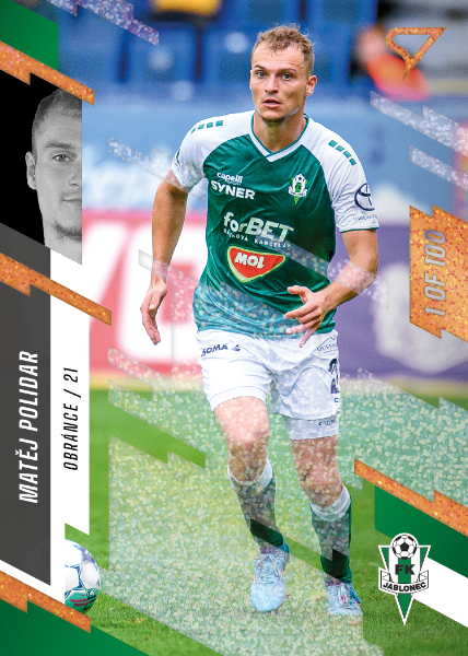 Polidar Matěj 23-24 Fortuna Liga Copper #335