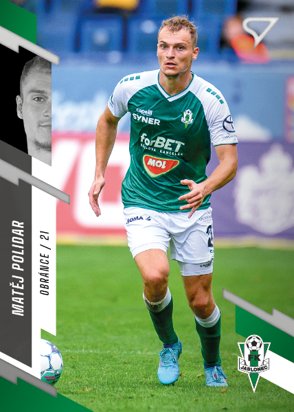 Polidar Matěj 23-24 Fortuna Liga #335