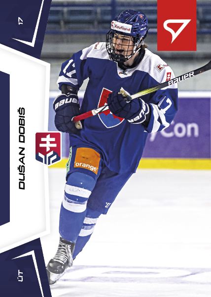 Dobiš Dušan 24-25 Slovenská hokejová liga #139