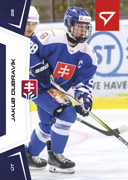 Dubravík Jakub 24-25 Slovenská hokejová liga #140