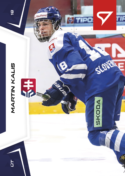 Kalis Martin 24-25 Slovenská hokejová liga #141