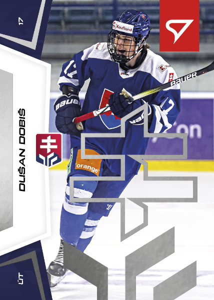Dobiš Dušan 24-25 Slovenská hokejová liga Silver #139