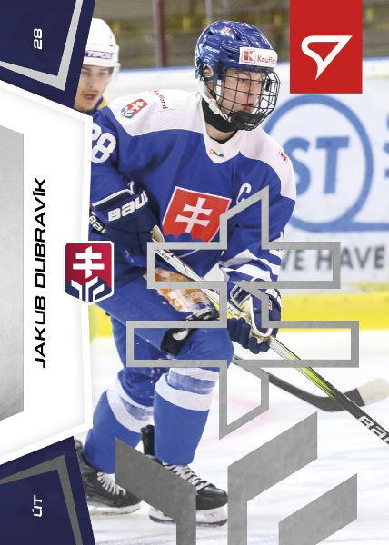 Dubravík Jakub 24-25 Slovenská hokejová liga Silver #140