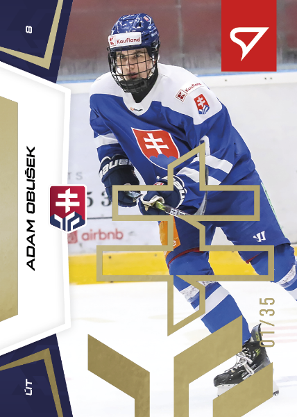 Obušek Adam 24-25 Slovenská hokejová liga Gold #142