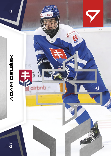 Obušek Adam 24-25 Slovenská hokejová liga Silver #142