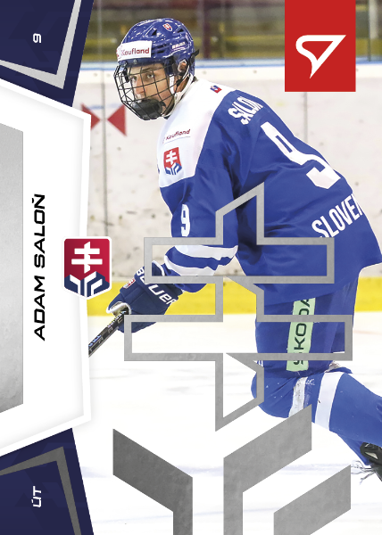 Saloň Adam 24-25 Slovenská hokejová liga Silver #144