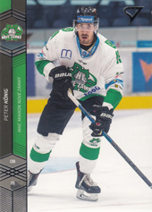 König Peter 18-19 Tipsport Liga #130