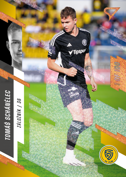 Schánělec Tomáš 23-24 Fortuna Liga Copper #363