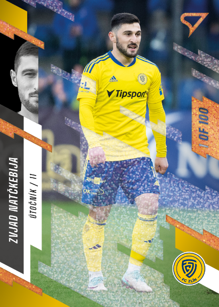 Natchkebia Zviad 23-24 Fortuna Liga Copper #366