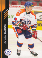 Dvořák Jaroslav 18-19 Premium Cards #151