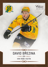 Březina David 18-19 OFS Chance liga #153