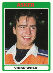 Wold Vidar 92-93 Elitserien #153