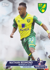 Redmond Nathan 13-14 Topps Premier Gold #163