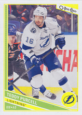 Purcell Teddy 13-14 O-Pee-Chee #164