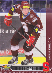 Krejčík Jakub 13-14 OFS Plus #176