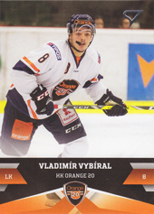Vybíral Vladimír 17-18 Tipsport Liga #189