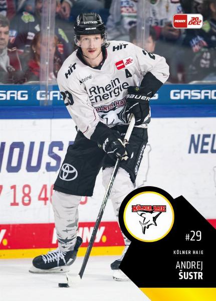 Šustr Andrej 23-24 Playercards DEL #198