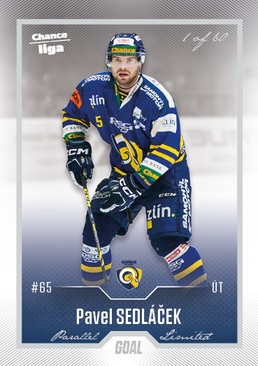 Sedláček Pavel 22-23 GOAL Cards Chance liga Silver #199