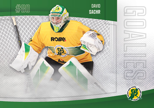 Sachr David 22-23 GOAL Cards Chance liga Goalies #G-20