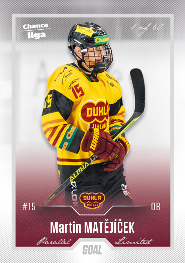 Matějíček Martin 22-23 GOAL Cards Chance liga Silver #202