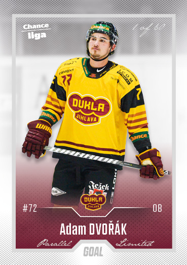 Dvořák Adam 22-23 GOAL Cards Chance liga Silver #205