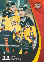 Skrbek Pavel 06-07 SHL Elitset #213