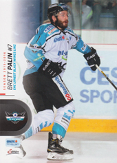 Palin Brett 15-16 City-Press EBEL #220